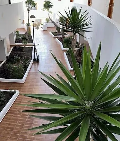 Apartament Modern,strandnaehe, Club Olympus, Garten Tenerife Playa Feñabe