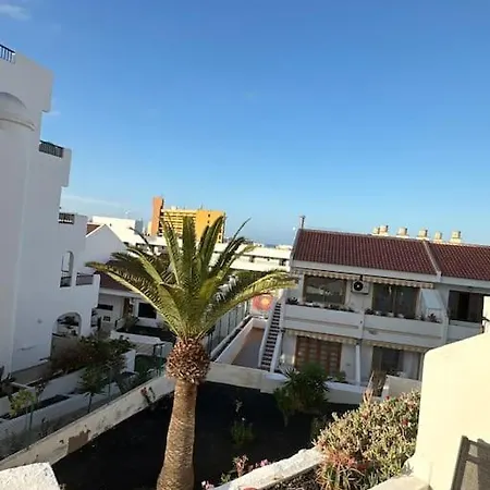 Modern,strandnähe, Club Olympus, Garten Tenerife