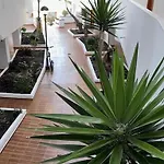 Apartment Modern,strandnaehe, Club Olympus, Garten Tenerife Playa Fanabe